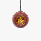 DSC Hanging Cricket Leather Ball