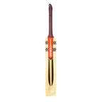 Gray Nicolls Gold Edition 4.0 English Willow Cricket Bat