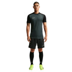 Nike  Academy Men's Dri-Fit Short-Sleeve Top