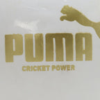 Puma Cricket Power Ball