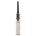 GM Hypa 909 English Willow Cricket Bat