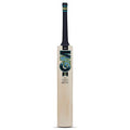 GM Aion 909 L.E. English Willow Cricket Bat