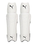 Puma Future 20.2 Keeping Pads