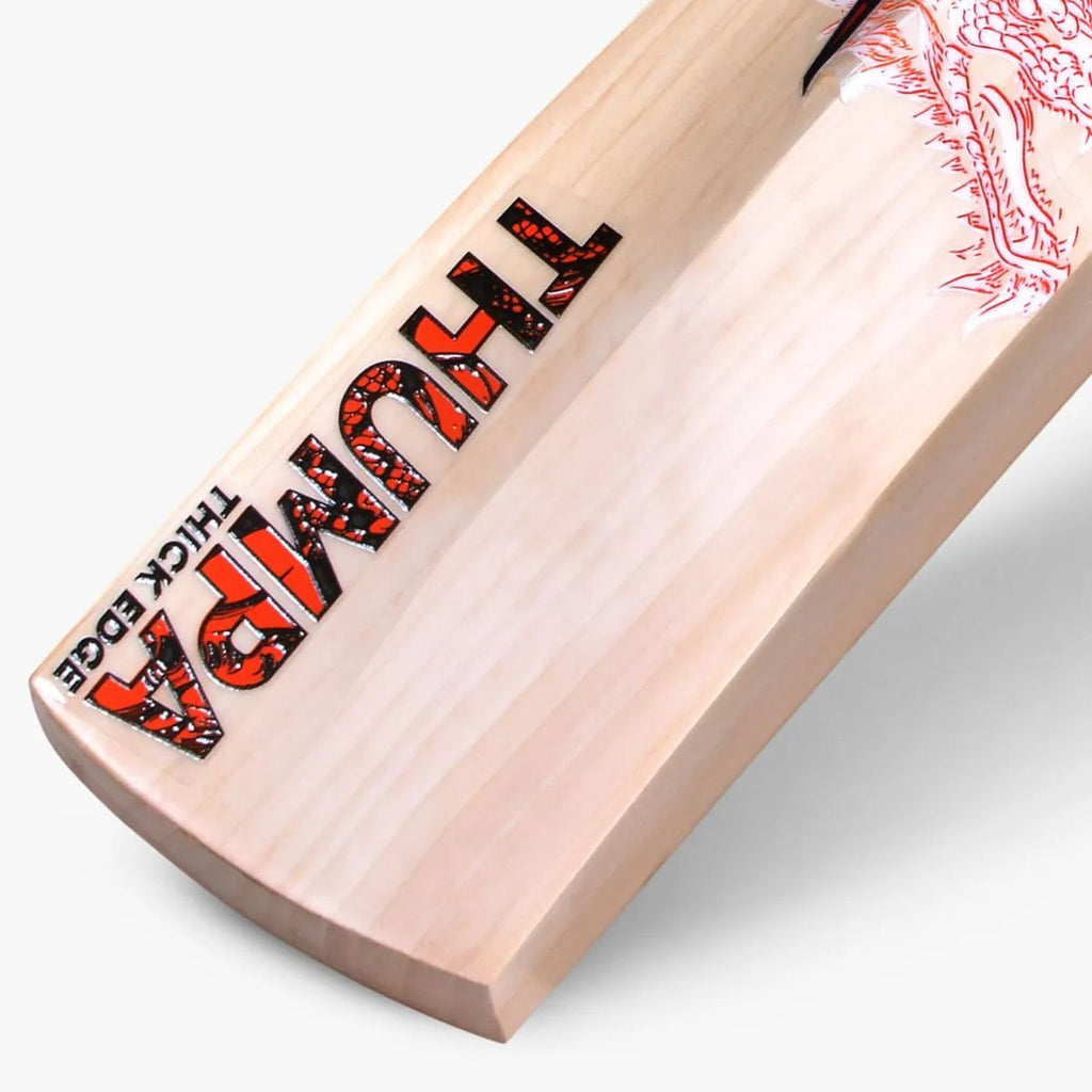 DSC Thumpa 4000 English Willow Cricket Bat