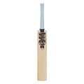 GM Rival 909 English Willow Cricket Bat