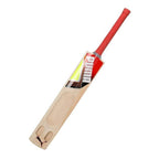Puma Future STB 1.1 Kashmir Willow Cricket Bat