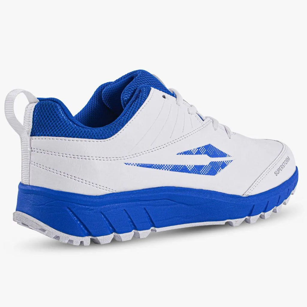 DSC Superstorm Cricket Shoes
