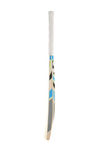 SG RSD Spark Kashmir Willow Cricket Bat