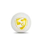 SG Everlast Tec Cricket Ball
