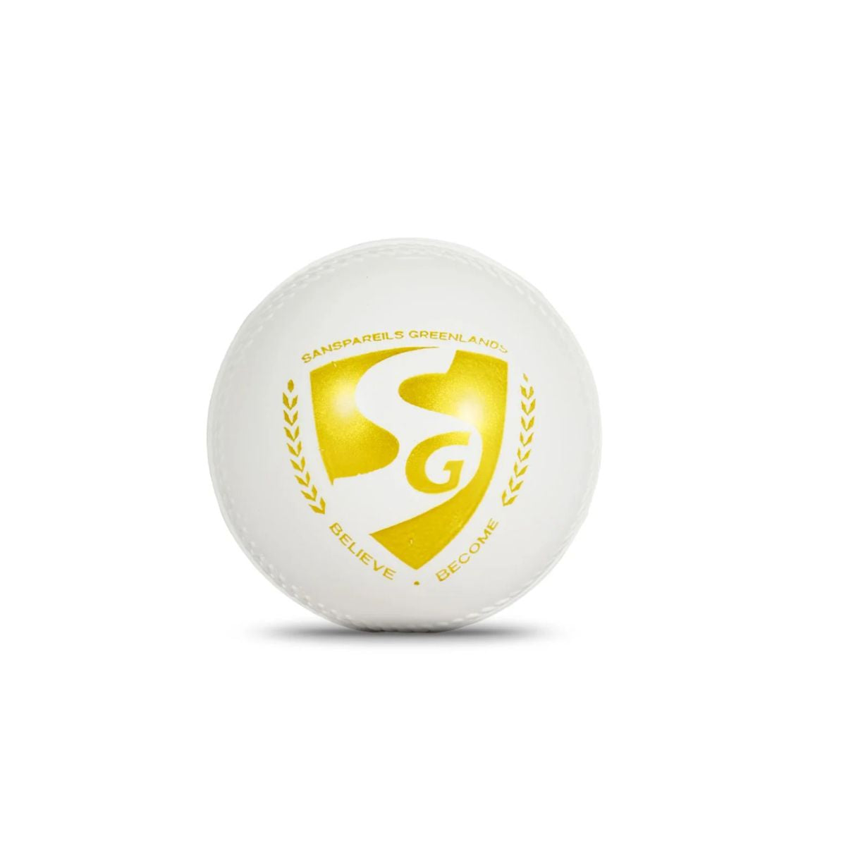 SG Everlast Tec Cricket Ball