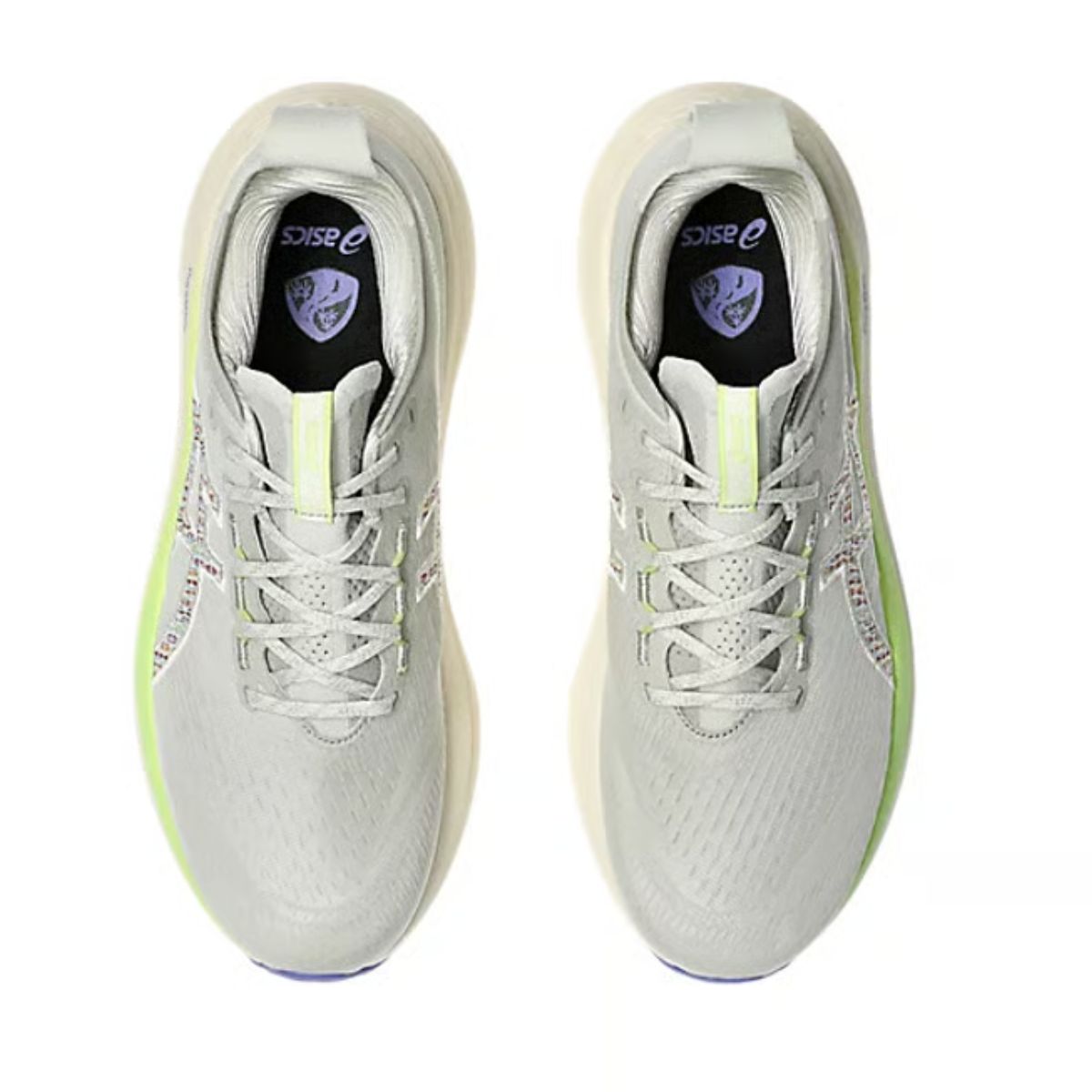 Asics Gel Nimbus 27 TR Running Shoes