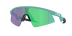 Oakley Resistor Sweep Cricket Eyewear