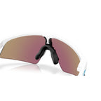 Oakley Resistor Sweep Cricket Eyewear