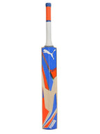 Puma Future 2.2 English Willow Cricket Bat