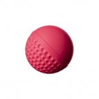SG Swinga Cricket Ball