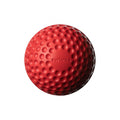 SG Swinga Cricket Ball