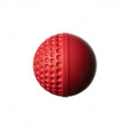 SG Swinga Cricket Ball