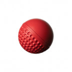 SG Swinga Cricket Ball