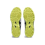 Asics Gel Peake 2 Cricket Shoes