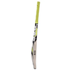 BAS Vampire Trainer English Willow Cricket Bat