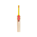 Gray-Nicolls GN Vapour Ignite Cricket Bat