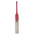 Gray-Nicolls GN4 Delta Edt. 3.0 Cricket Bat