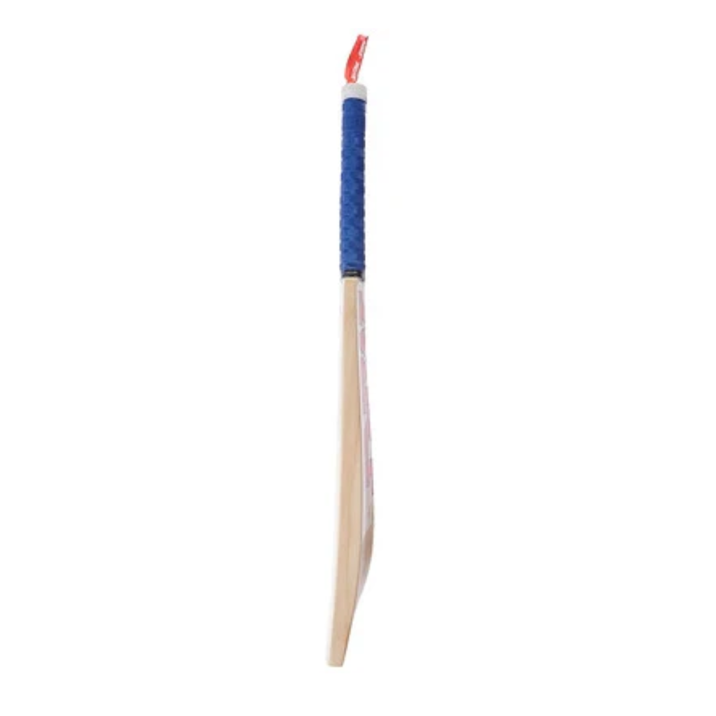 MRF Champ Kashmir Willow Cricket Bat