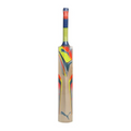 Puma Evospeed 3000 Cricket Bat