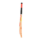 Puma Future 2.0 Cricket Bat