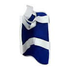 Remfry Cricket Thigh Guard