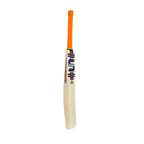 Somi MSD Player English Willow Cricket Bat