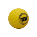 SS Bowling Machine Cricket Ball