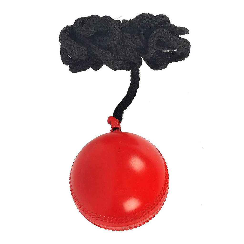 SS Hanging Cricket Ball