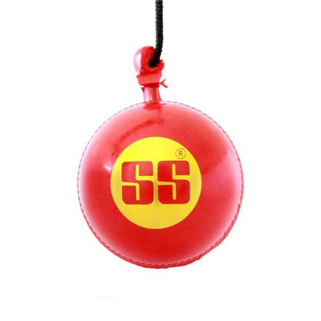 SS Hanging Cricket Ball