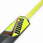 Puma Future 1.1 PB Plastic Cricket Bat (BOGO)