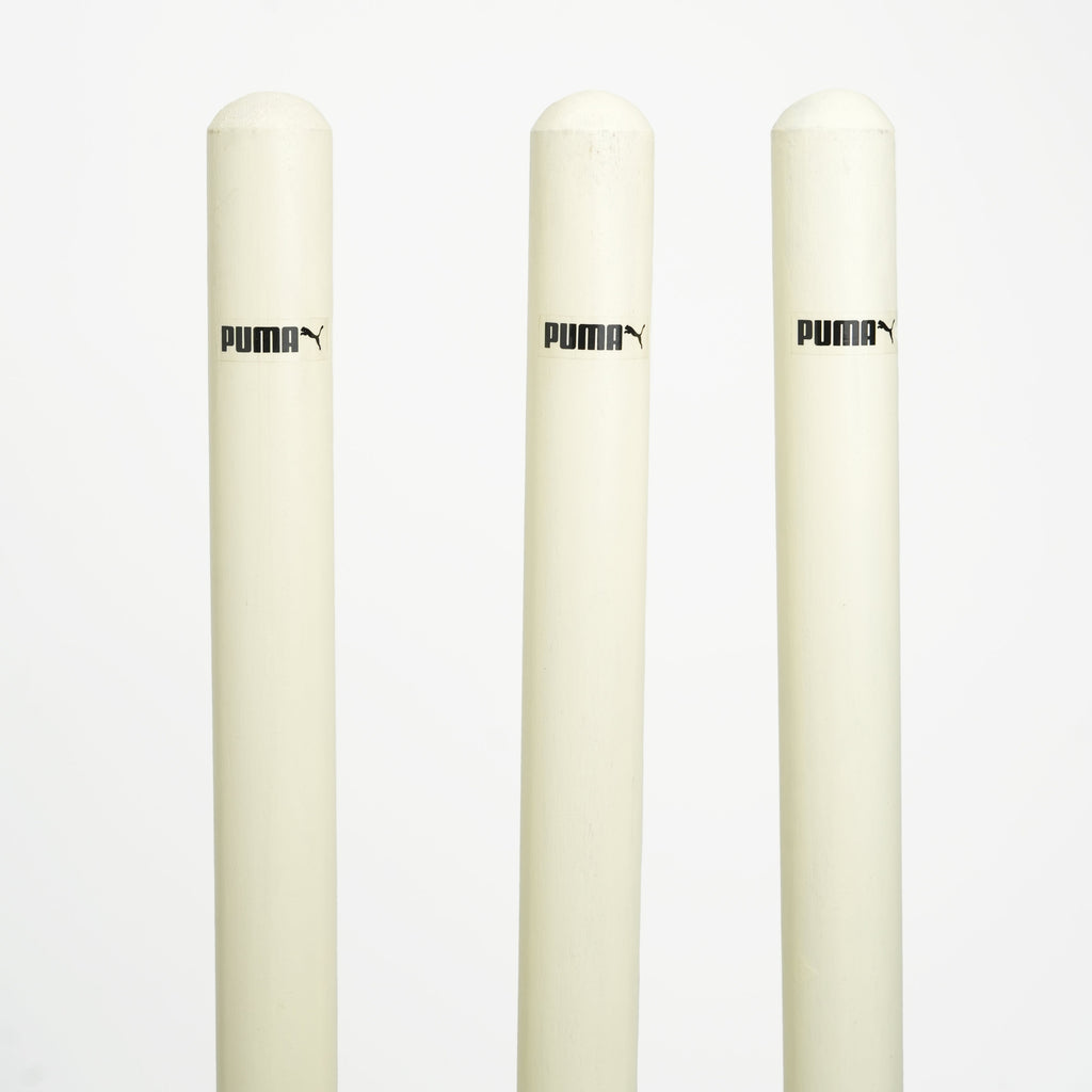 Puma Future Sb Cricket Stump (BOGO)