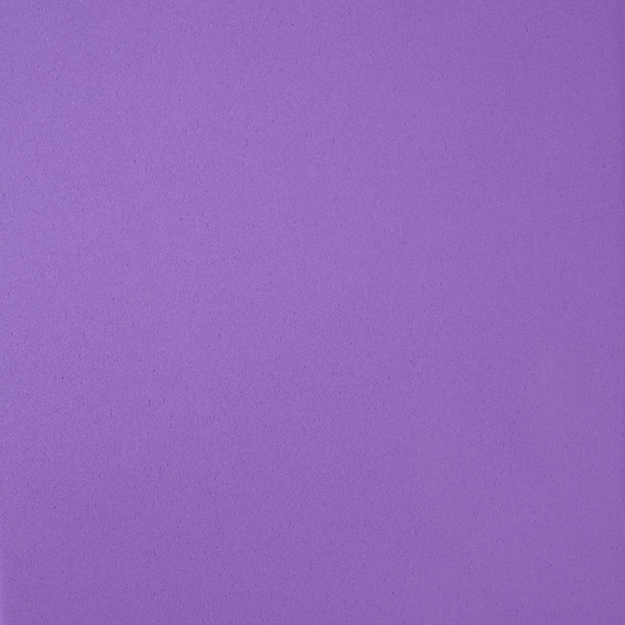 Puls8 Yoga Brick