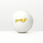 Puls8 Incredible Cricket Ball