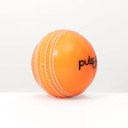 Puls8 Incredible Cricket Ball