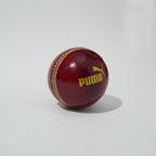Puma Intense Red Cricket Ball (BOGO)