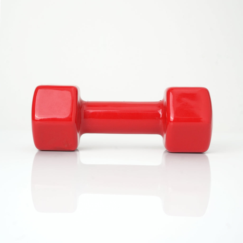 Puls8 Vinyl Hex Dumbbell (Single Dumbbell)