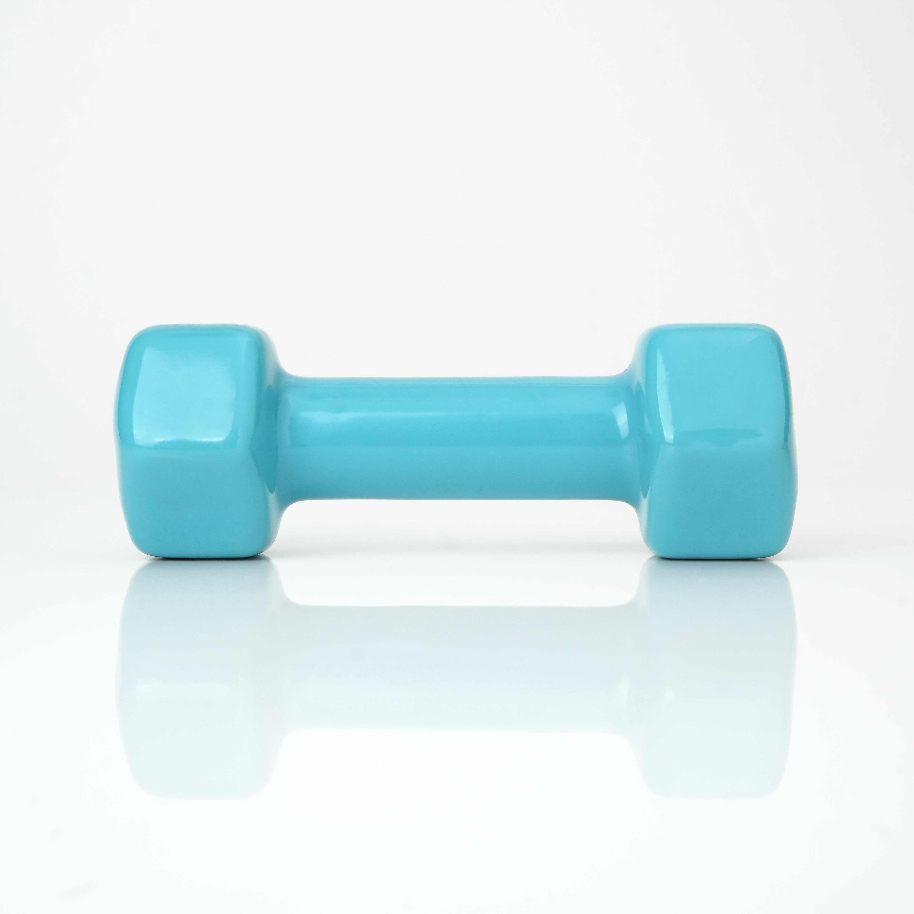 Puls8 Vinyl Hex Dumbbell (Single Dumbbell)