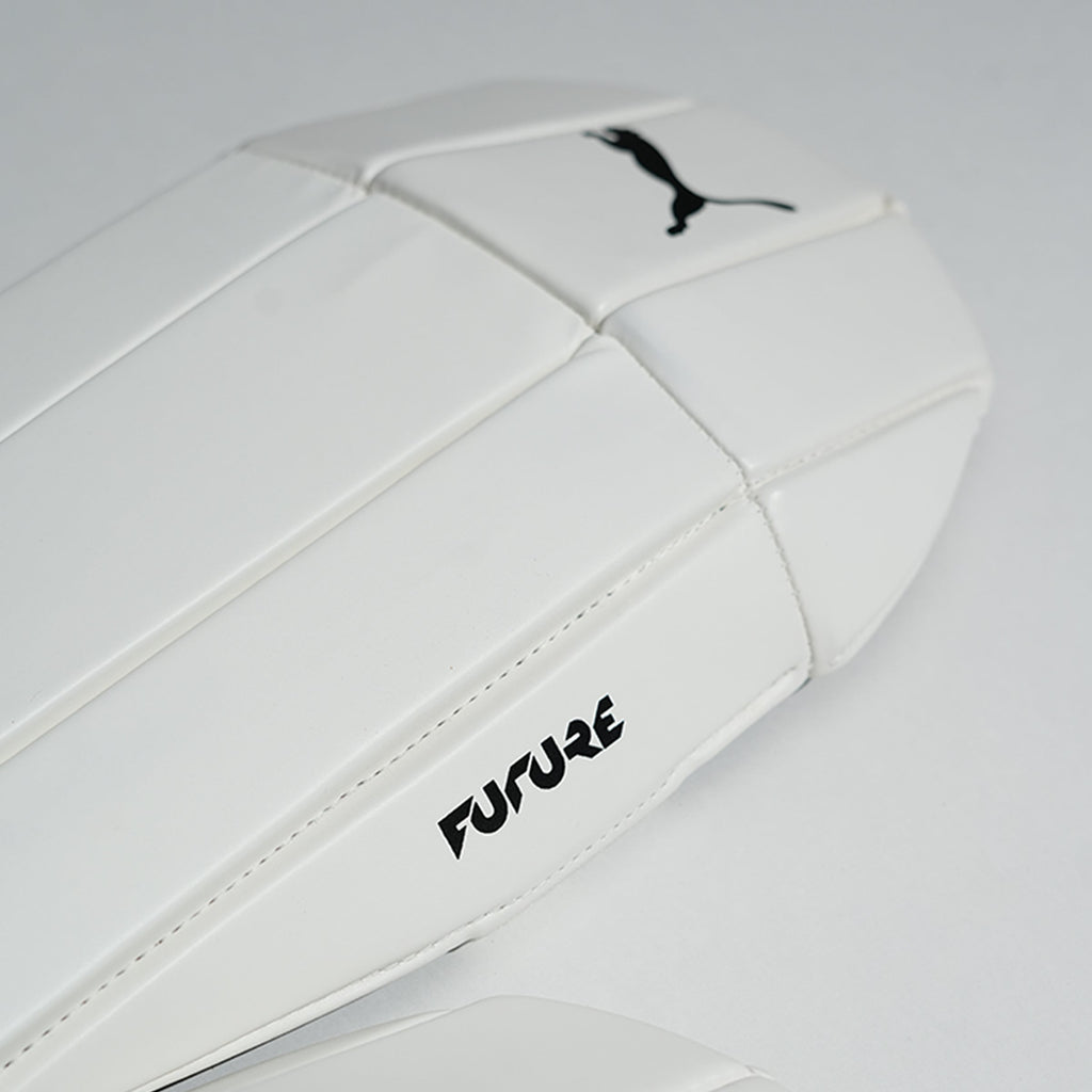 Puma Future 3 Keeping Pad (BOGO)