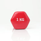 Puls8 Vinyl Hex Dumbbell (Single Dumbbell)