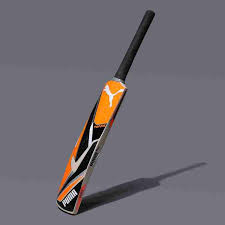 Puma Future 1.0 JNR Kashmir Willow Cricket Bat