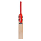 Gray-Nicolls GN7 Astro English Willow Cricket Bat