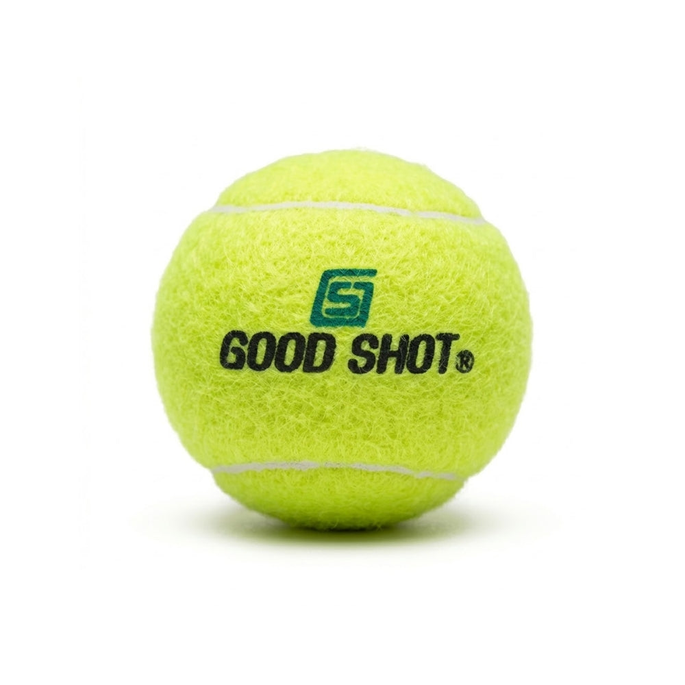 Good Shot Heavy Cricket Ball