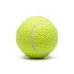 Good Shot Heavy Cricket Ball