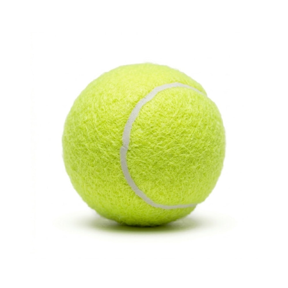 Good Shot Heavy Cricket Ball