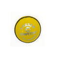 Competent Yorker Training Cricket Ball
